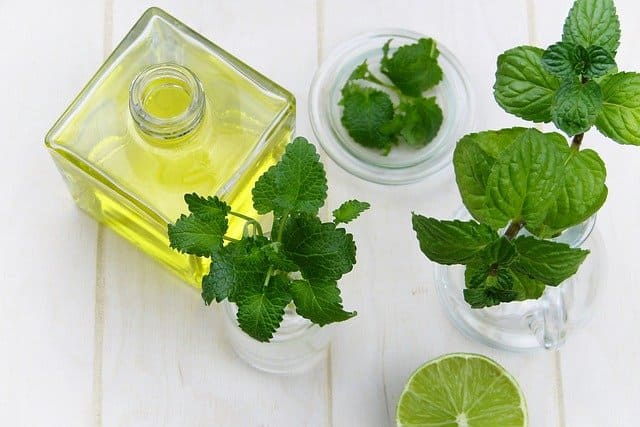 Menta como aceite esencial antiviral