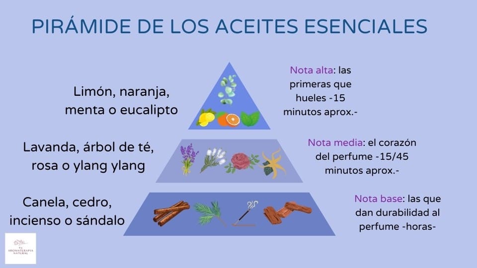 Pirámide de los aceites esenciales para perfumes